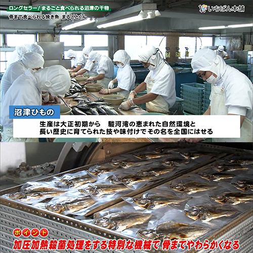 【定期便】骨まで食べられる焼き魚「まるごとくん」6枚セット【送料無料】