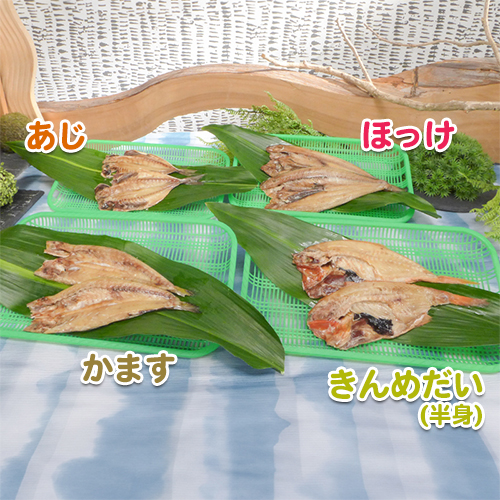 【定期便】【アソート】骨まで食べられる焼き魚「まるごとくん」8枚セット【送料無料】