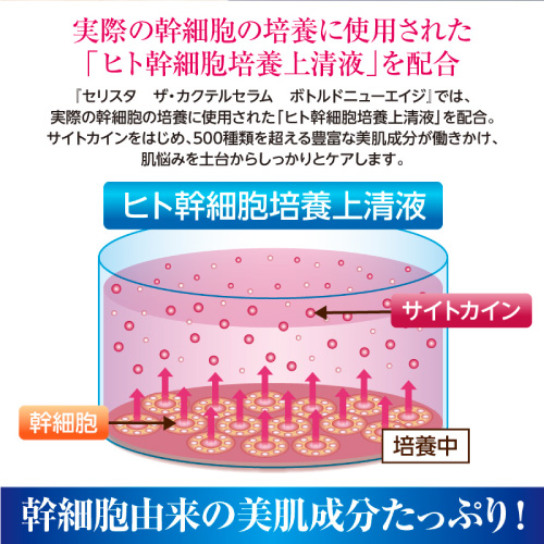 【お試し購入／10％OFF】細胞レベルで若返る！再生医療から生まれた最先端セラム★日本幹細胞化粧品評価機構認定≪セリスタ 幹細胞セラム≫1本