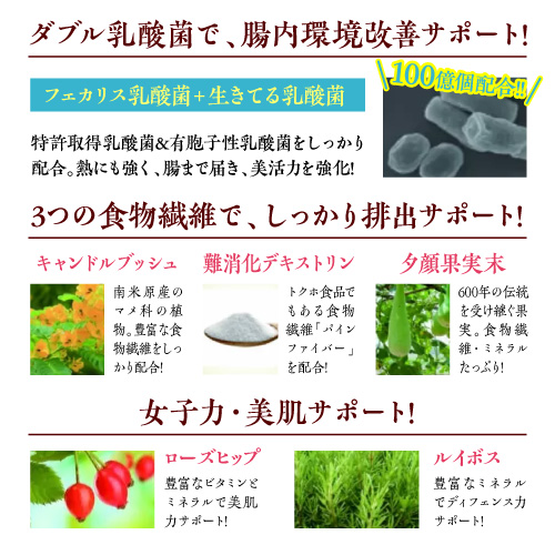 【お試し購入/5%OFF】カラダの気のメグリをよくしてデトックス・冷えを改善≪薬膳茶 デ・ルー茶ストロング≫1箱(4g×30包)
