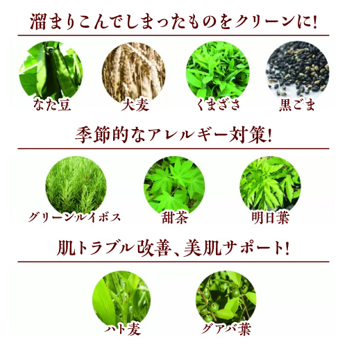 【お試し購入/5%OFF】カラダをサラサラにして息&臭いをリフレッシュ≪薬膳茶サラ≫ 1箱(4g×30包)