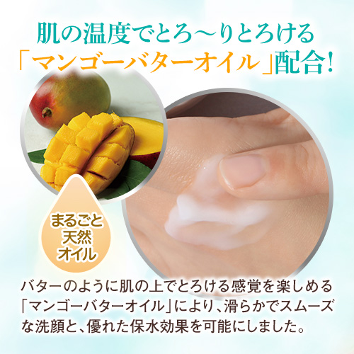 【お試し購入/15%OFF】W洗顔不要の1本7役オールインワンクレンジング≪メルティクレンジングバーム≫1本