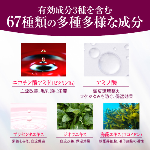 【20％OFF】育毛×発毛×養毛のトリプルアプローチ！厳選67成分配合≪薬用育毛剤”髪に力”≫1本120ml