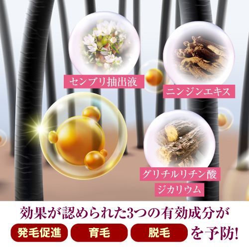 【お試し購入/20%OFF】育毛×発毛×養毛のトリプルアプローチ!厳選67成分配合≪薬用育毛剤”髪に力”≫1本120ml