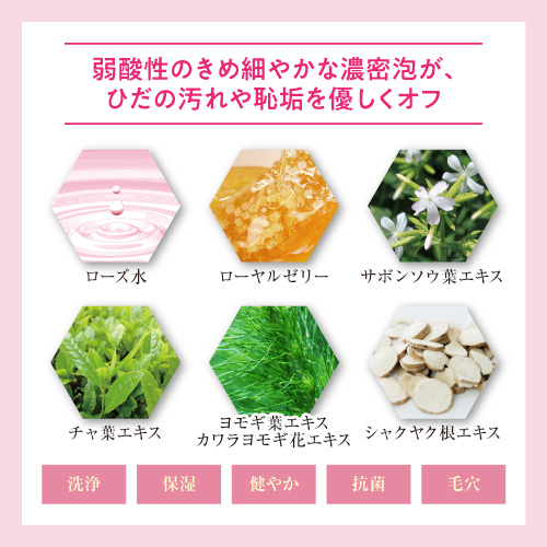 【お試し購入/21%OFF】弱酸性のキメ細かな濃密泡がデリケートゾーンを清潔に保つ≪センシティブモイスチャーウォッシュ≫1本