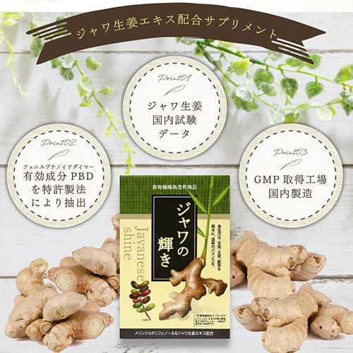 【25％OFF】栄養機能食品★健康・美容・冷え性に≪ジャワの輝き≫1箱（10G×30包）