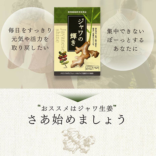 【25％OFF】栄養機能食品★健康・美容・冷え性に≪ジャワの輝き≫1箱（10G×30包）