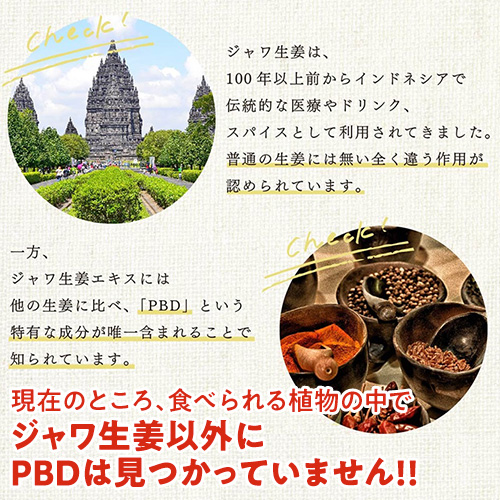 【25％OFF】栄養機能食品★健康・美容・冷え性に≪ジャワの輝き≫1箱（10G×30包）