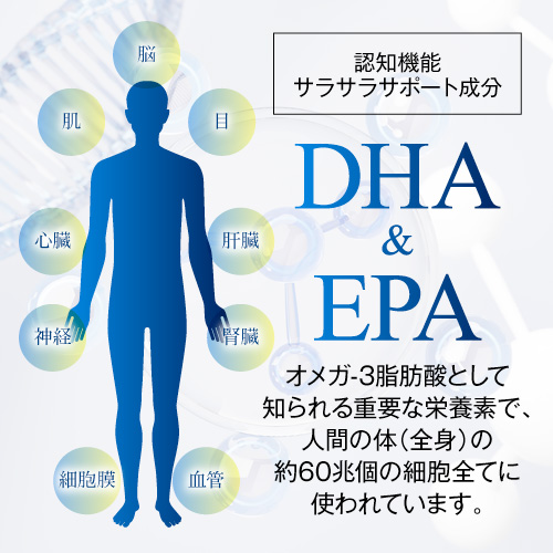 【36％OFF】記憶力や血の巡りが気になる方に≪ＤＨＡ＋ＥＰＡプレミアム≫1個