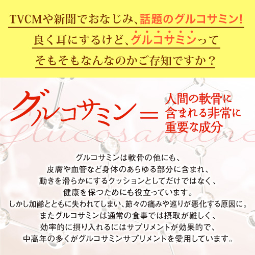 【54％OFF】毎日元気に歩く！走る！関節の痛みに◎≪グルコサミン＆コンドロイチン≫1個
