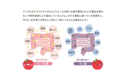 【単品購入】”腸内環境を整える”低分子アップルオリゴペクチンゼリー