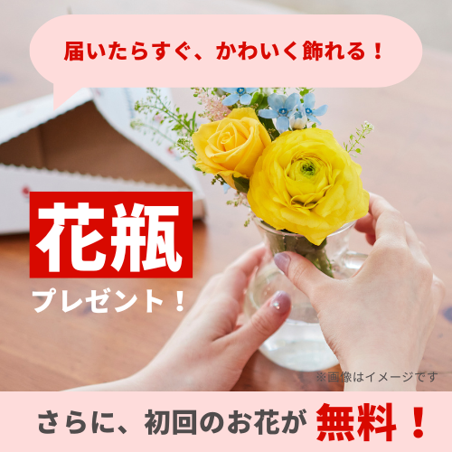 週替わりで届く季節のお花に、毎週ワクワク!　ブルーミーお花の定期便