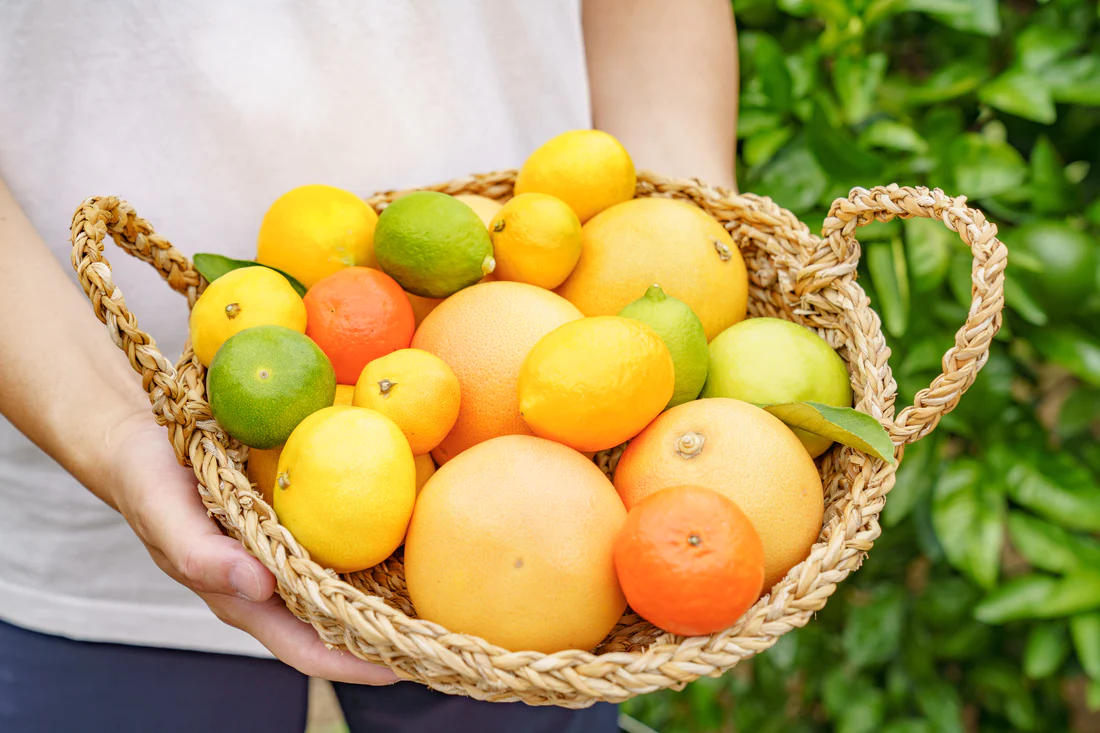 和歌山県有田産の最大82種類の柑橘食べくらべ定期便「Mikan Mania