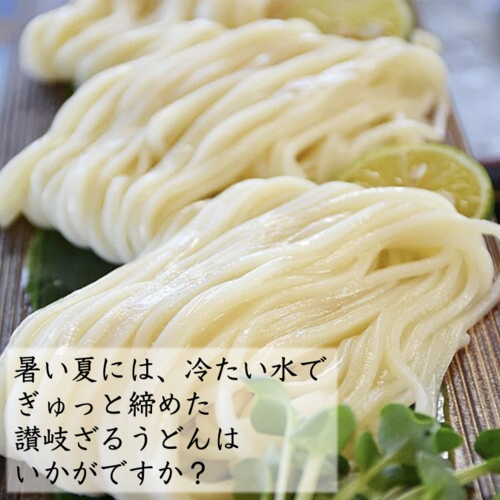 讃岐生うどん・ 半生うどん と さぬきゆでうどん セット