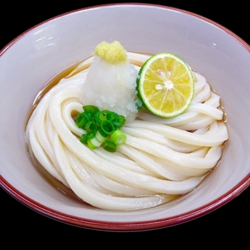 【送料込み】本場からお届けする 極上の本格うどん　国産小麦さぬきうどん 12食セット