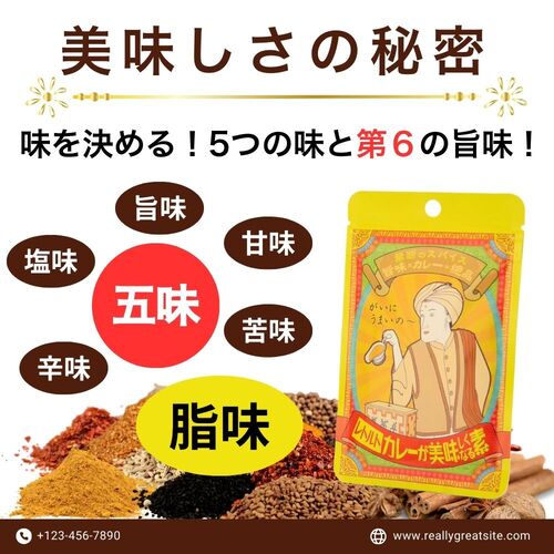 禁断のスパイス 旨味×カレー＝絶品!!　レトルトカレーが美味しくなる素　30g×2パック　【送料込】