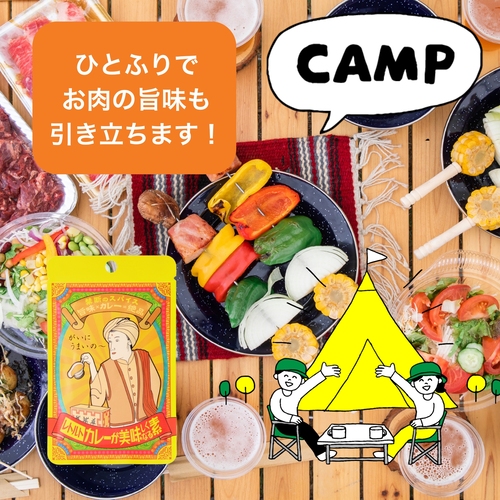 禁断のスパイス 旨味×カレー＝絶品!!　レトルトカレーが美味しくなる素　30g×2パック　【送料込】